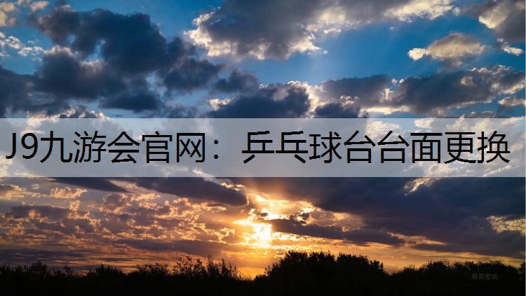 乒乓球台台面更换